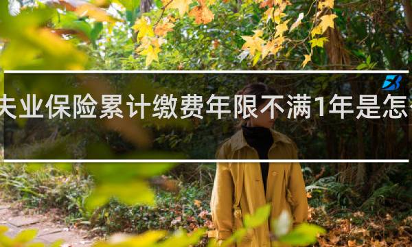 失业保险累计缴费年限不满1年是怎么回事图片