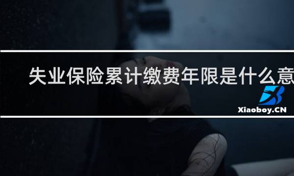 失业保险累计缴费年限是什么意思图片