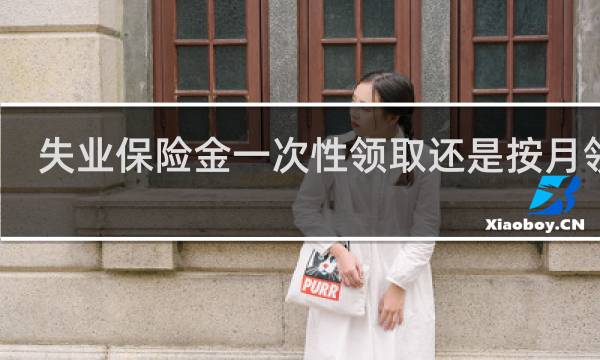 失业保险金一次性领取还是按月领取