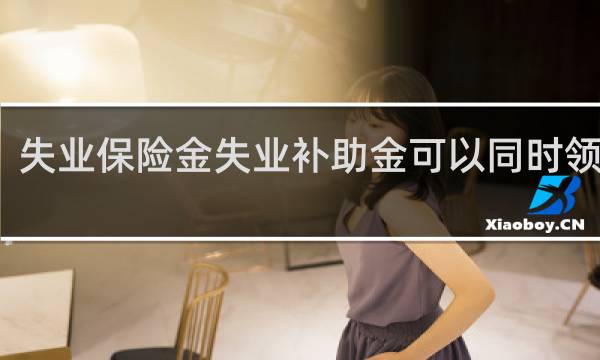 失业保险金失业补助金可以同时领取吗