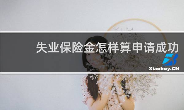 失业保险金怎样算申请成功图片