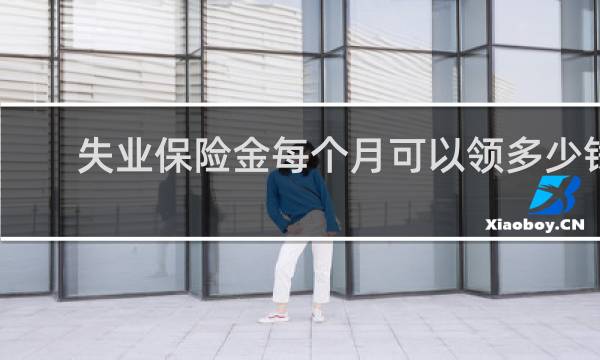 失业保险金每个月可以领多少钱