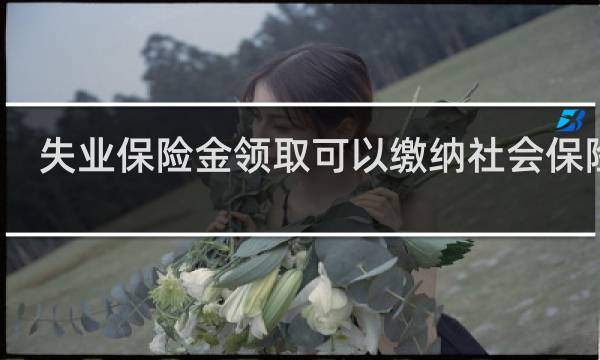 失业保险金领取可以缴纳社会保险么