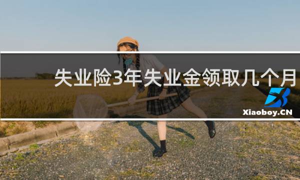 失业险3年失业金领取几个月