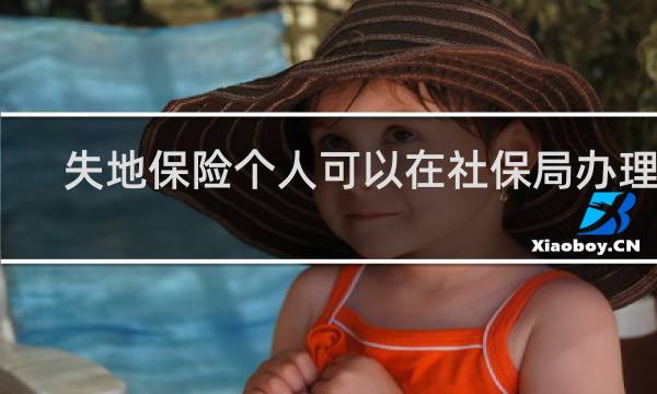 失地保险个人可以在社保局办理吗