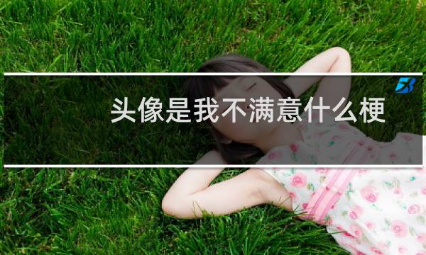 头像是我不满意什么梗 普信男太下头了什么梗