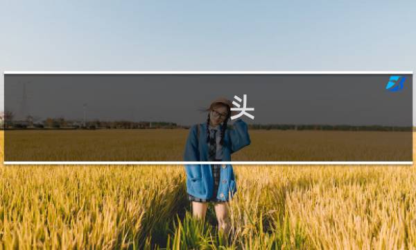 头 英语翻译图片