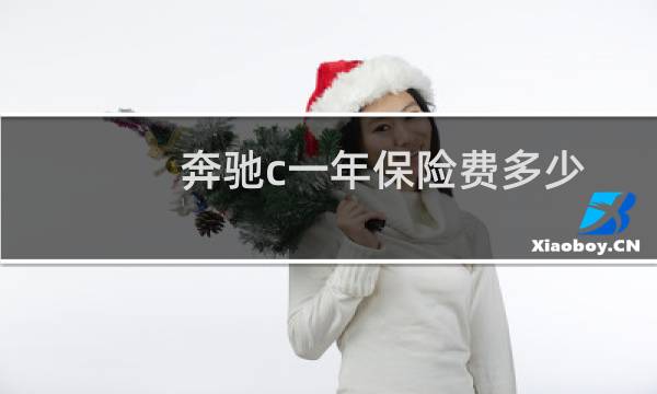 奔驰c一年保险费多少