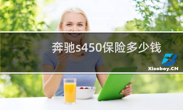 奔驰s450保险多少钱