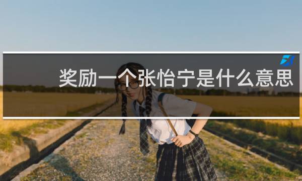 奖励一个张怡宁是什么意思