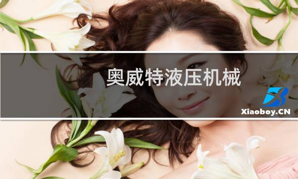 奥威特液压机械