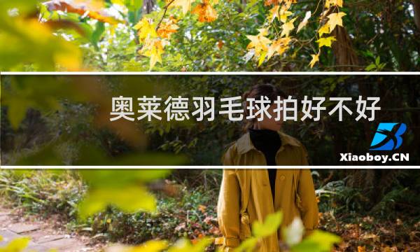 奥莱德羽毛球拍好不好