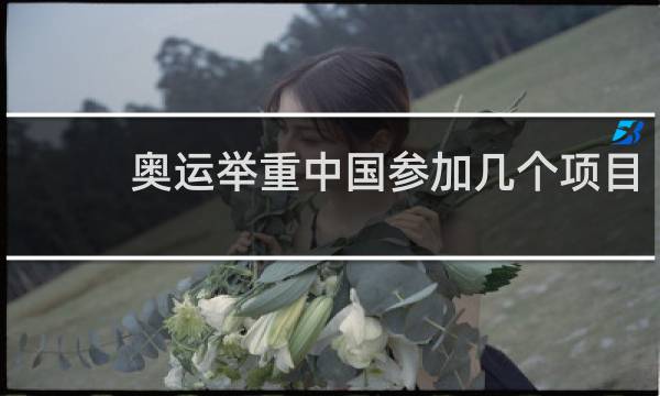 奥运举重中国参加几个项目