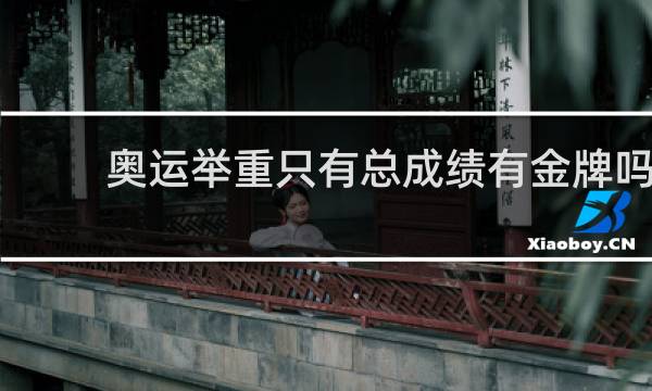 奥运举重只有总成绩有金牌吗