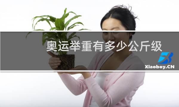 奥运举重有多少公斤级