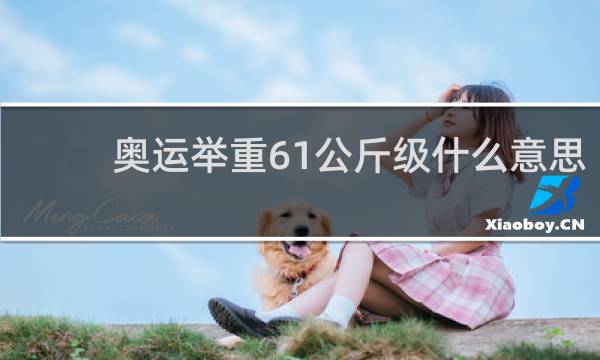 奥运举重61公斤级什么意思