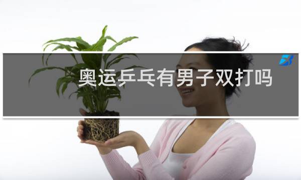 奥运乒乓有男子双打吗