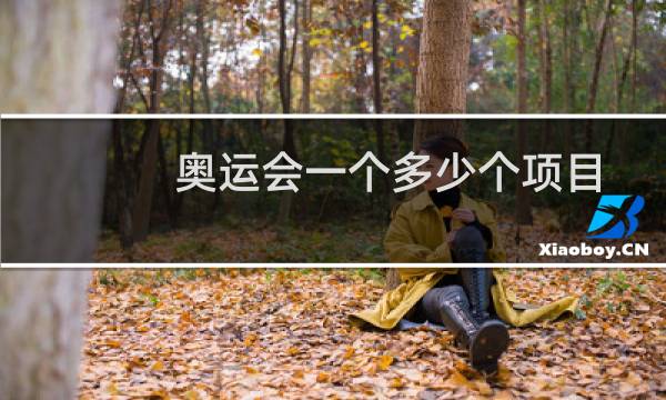 奥运会一个多少个项目