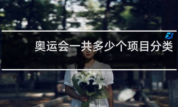 奥运会一共多少个项目分类