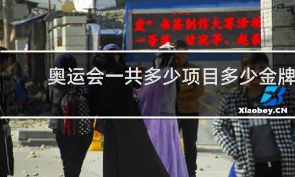 奥运会一共多少项目多少金牌