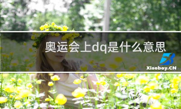 奥运会上dq是什么意思