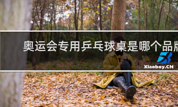 奥运会专用乒乓球桌是哪个品牌