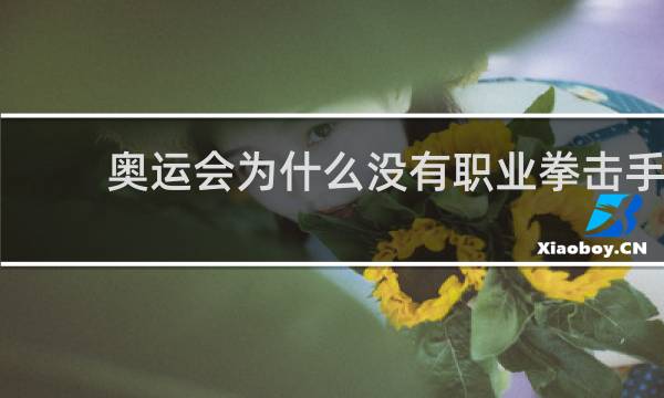 奥运会为什么没有职业拳击手