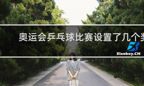 奥运会乒乓球比赛设置了几个奖项