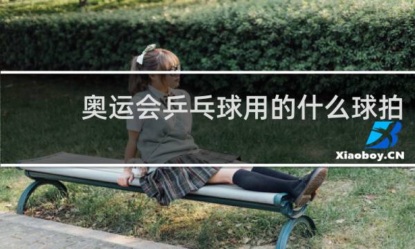 奥运会乒乓球用的什么球拍
