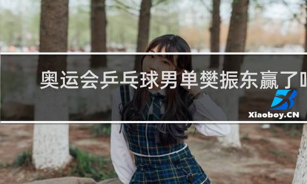奥运会乒乓球男单樊振东赢了吗