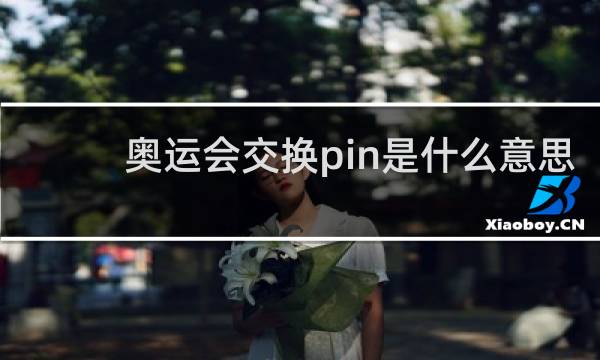 奥运会交换pin是什么意思