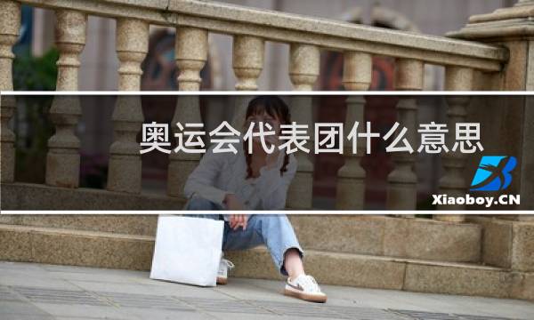 奥运会代表团什么意思