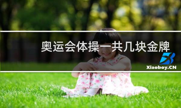 奥运会体操一共几块金牌