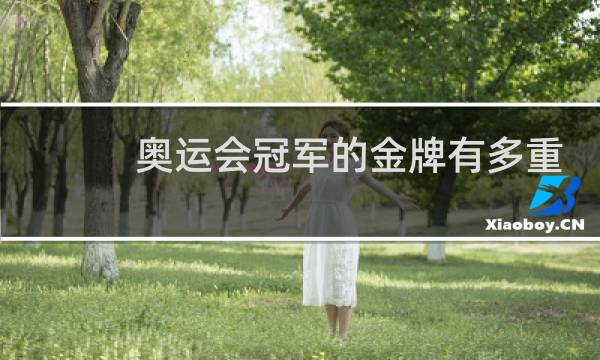 奥运会冠军的金牌有多重