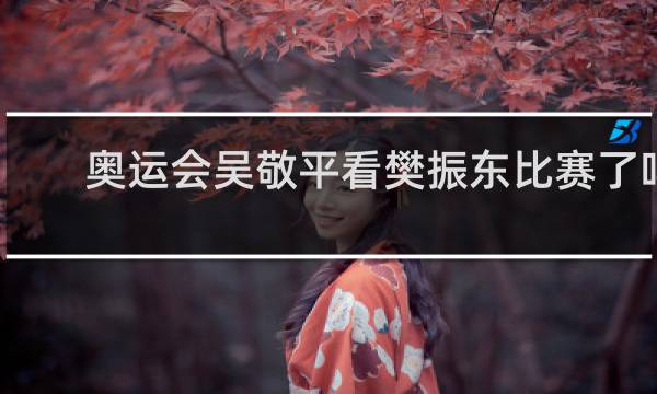 奥运会吴敬平看樊振东比赛了吗