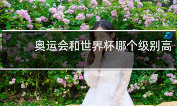 奥运会和世界杯哪个级别高