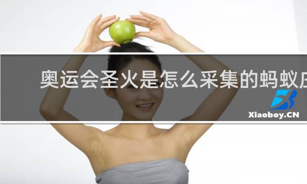 奥运会圣火是怎么采集的蚂蚁庄园