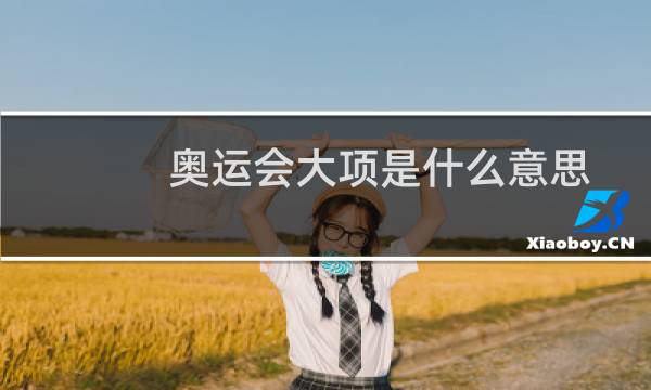 奥运会大项是什么意思