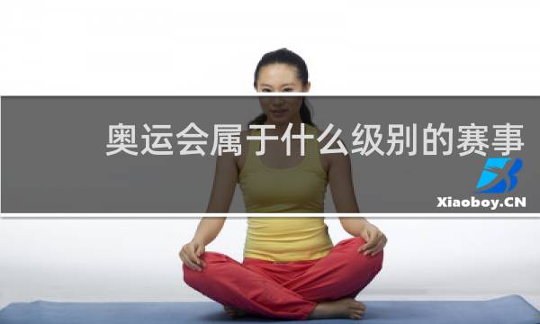 奥运会属于什么级别的赛事