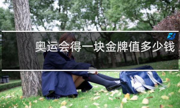 奥运会得一块金牌值多少钱
