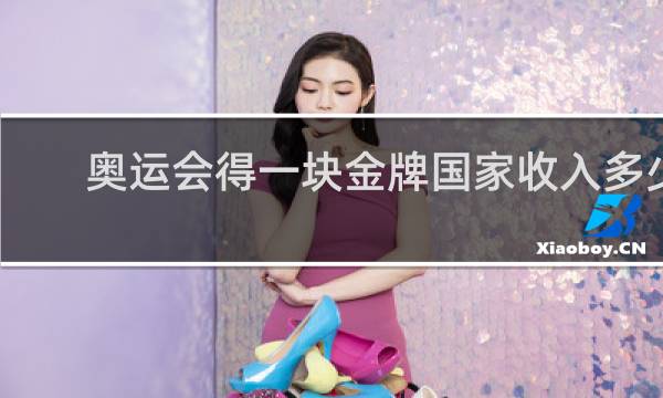 奥运会得一块金牌国家收入多少