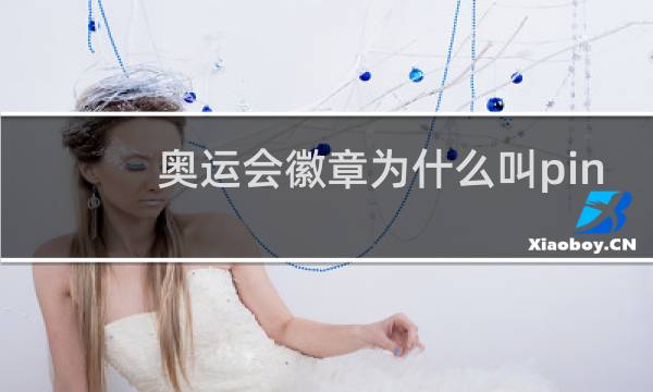 奥运会徽章为什么叫pin