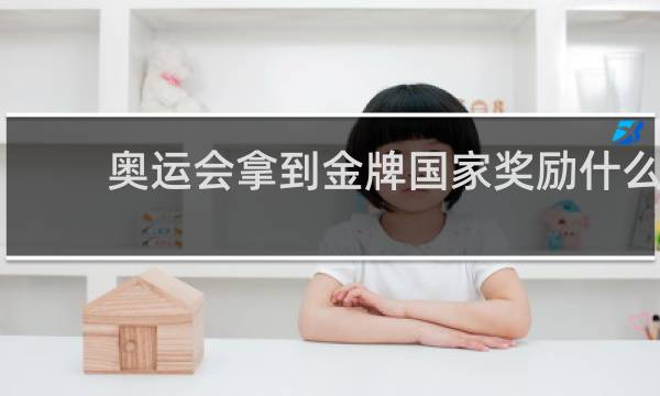奥运会拿到金牌国家奖励什么