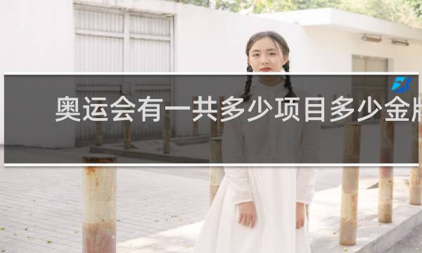 奥运会有一共多少项目多少金牌