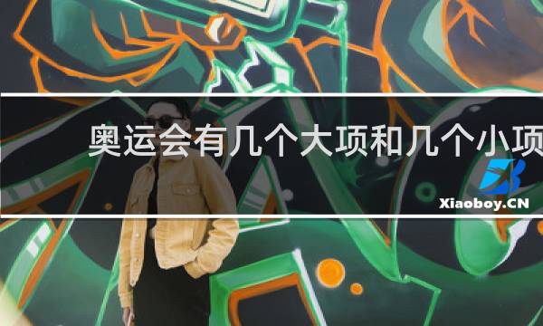 奥运会有几个大项和几个小项