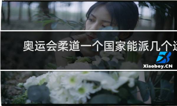 奥运会柔道一个国家能派几个运动员
