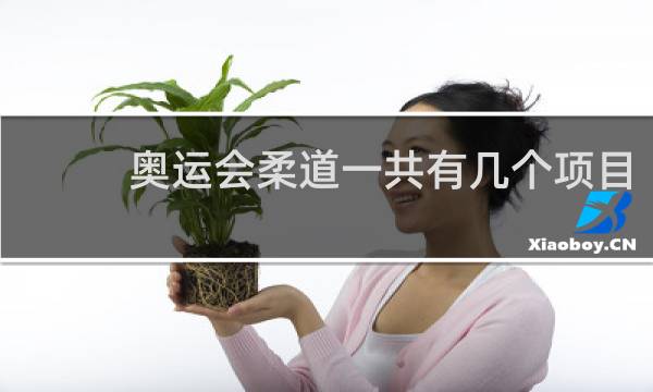 奥运会柔道一共有几个项目