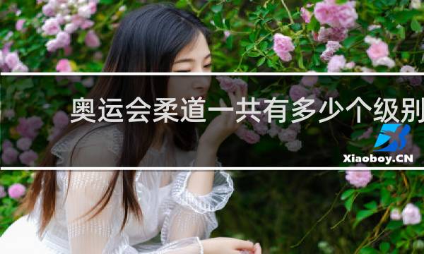 奥运会柔道一共有多少个级别