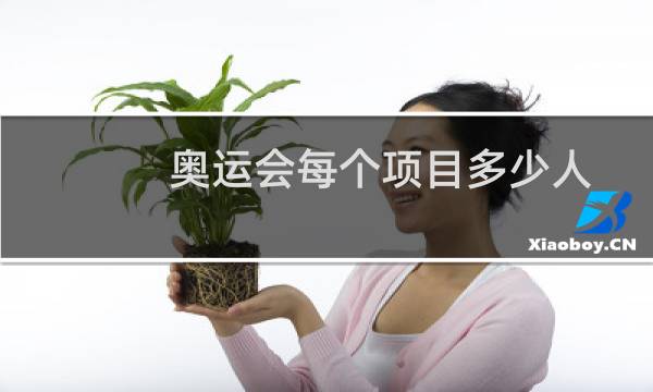 奥运会每个项目多少人