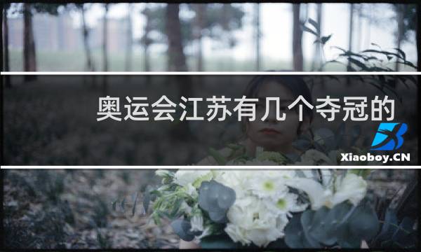 奥运会江苏有几个夺冠的